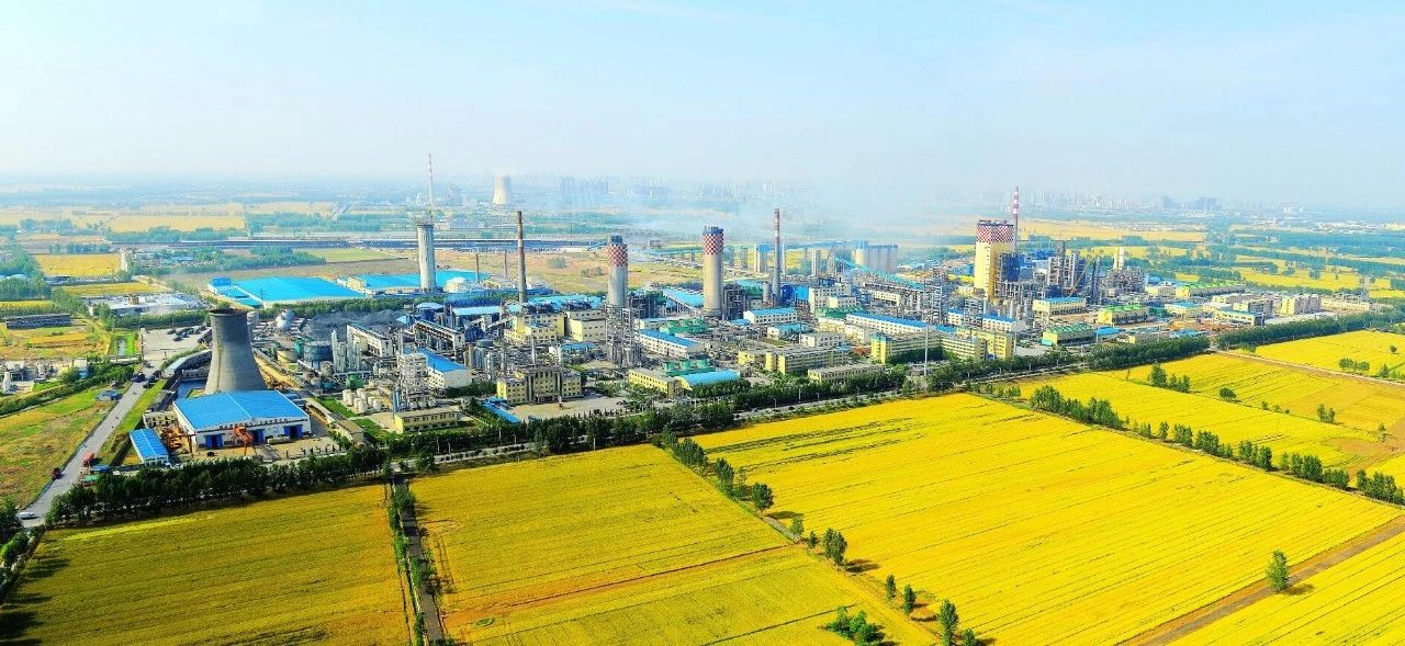 【心連心·瞬間】心連心化學工業集團建廠50周年回眸（四）