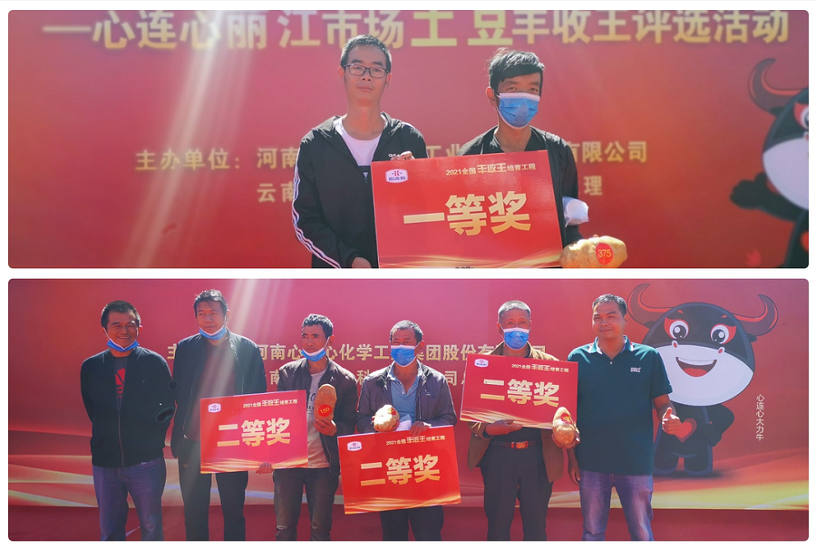 喜迎豐收，薯王爭霸！——心連心麗江市場土豆豐收王評選活動成功舉行